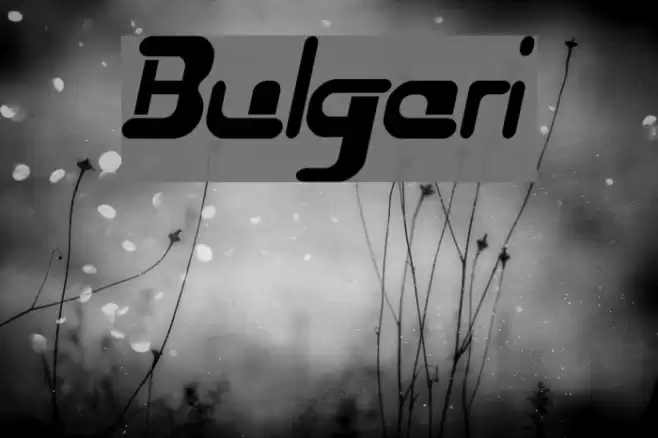 Bulgari Font examples