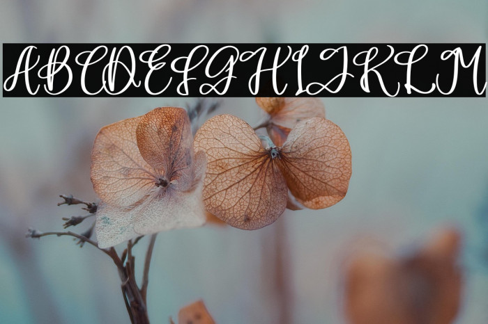 Bulgaria Emilton Example 1