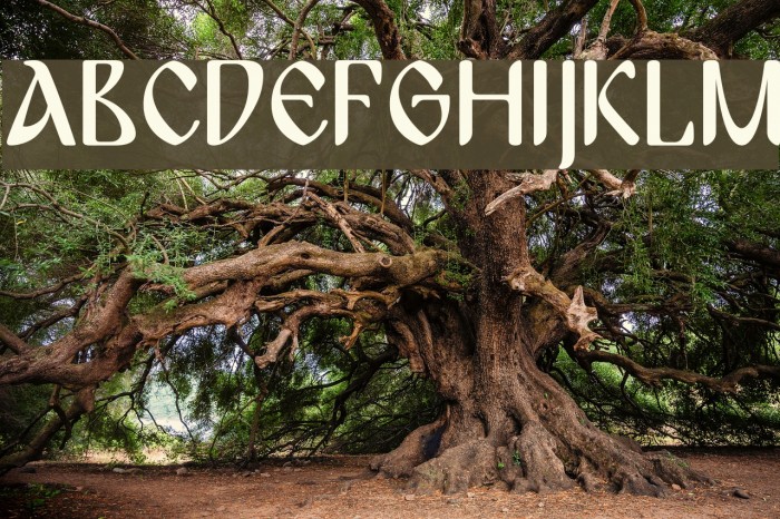 BulgariaModernaPro Font examples