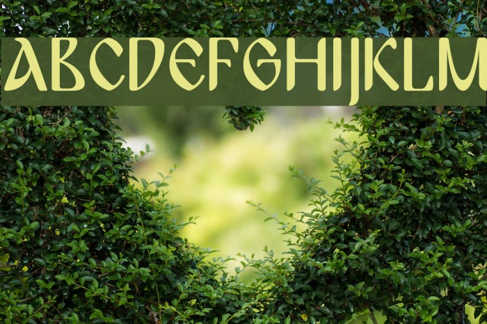 BulgariaModernaPro Font examples