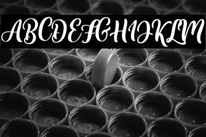 BulgariaScript Font examples