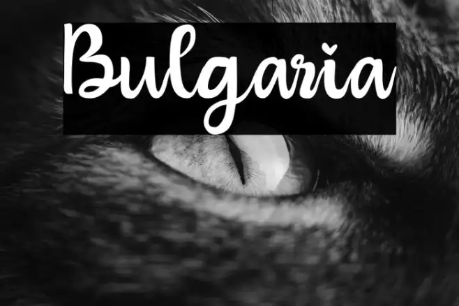 Bulgaria Example 3