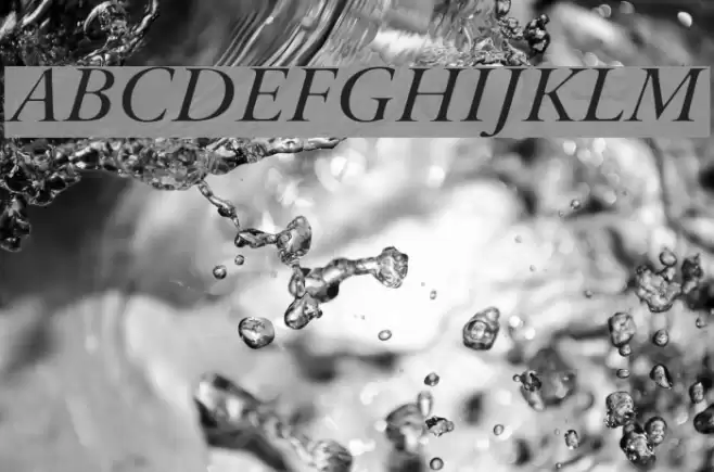 Bulgarian Garamond Italic Шрифта examples