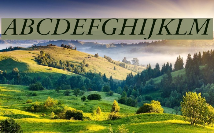 Bulgarian Garamond Italic Font examples