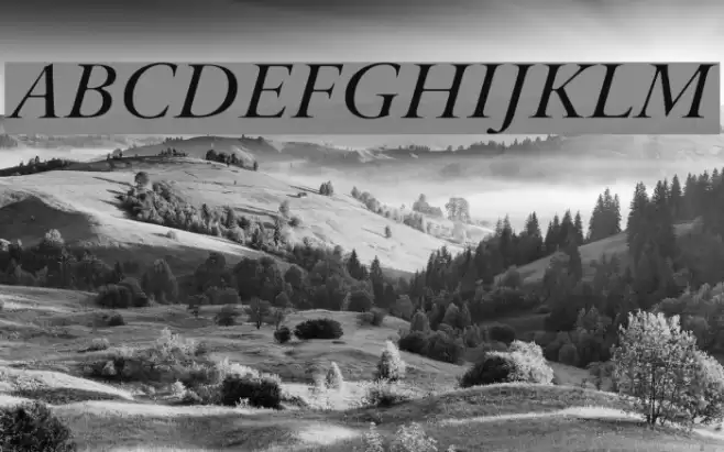 Bulgarian Garamond Italic Шрифта examples