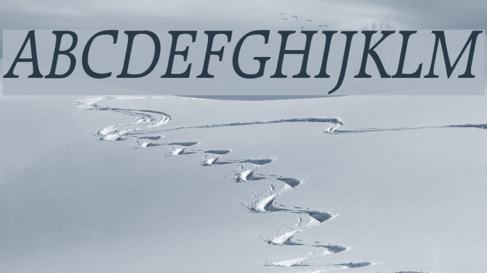Bulgarian Italic Font examples