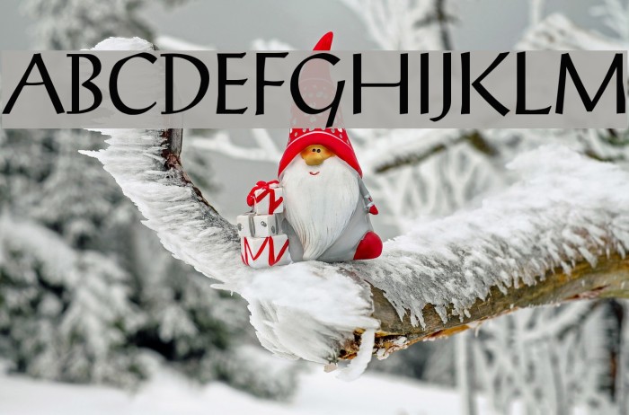 Bulgarian Palatia Font examples
