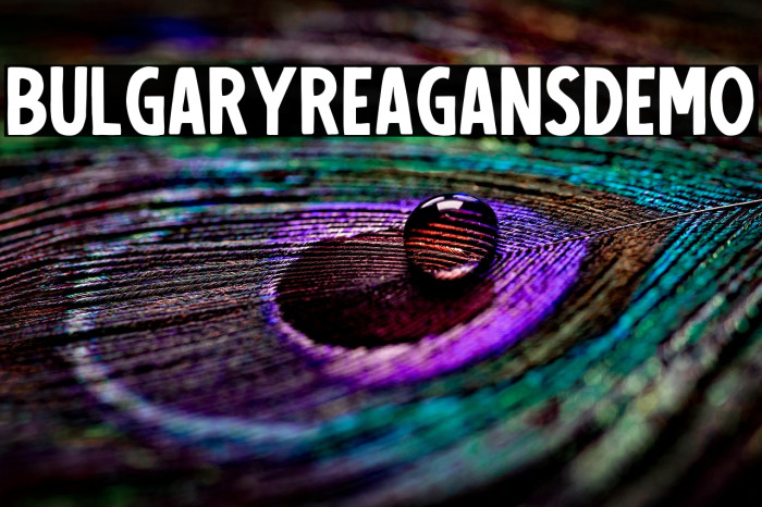 BulgaryReagansDemo Example 3