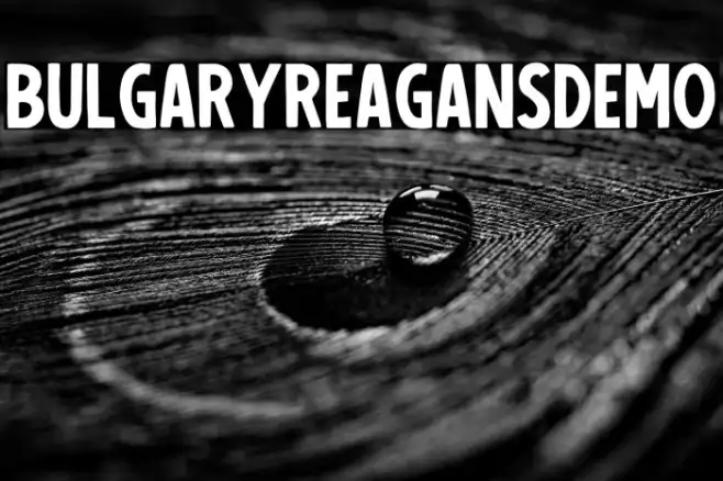 BulgaryReagansDemo Example 3