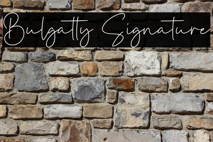 Bulgatty Signature Example 2