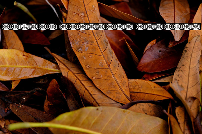 Bulged Monogram Regular Example 1