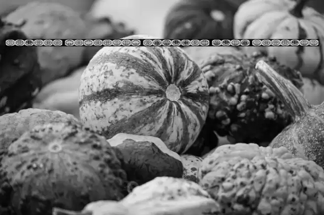 Bulged Monogram Stylish Flat Regular Font examples