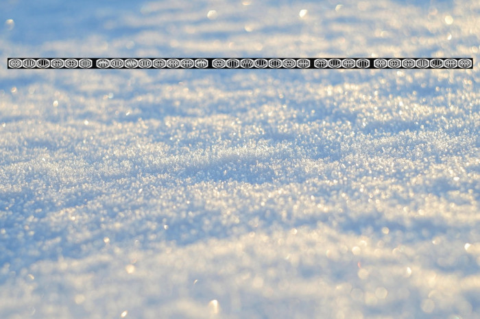 Bulged Monogram Stylish Flat Regular Example 3