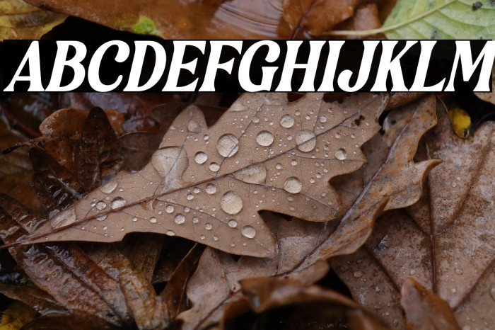 Bulgeria Italic Example 3