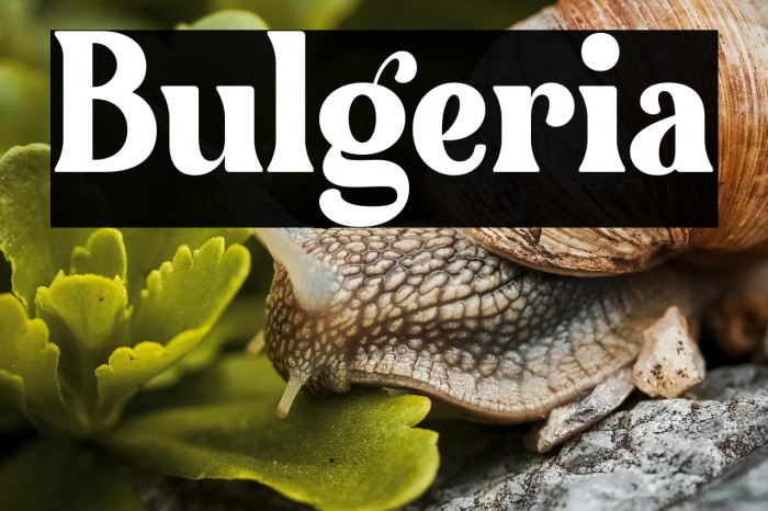 Bulgeria Example 2