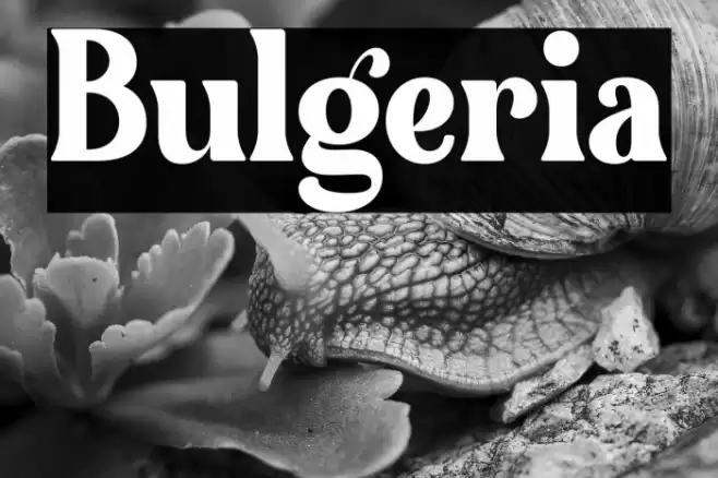 Bulgeria Font examples