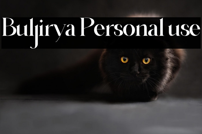 Buljirya Personal use Example 1