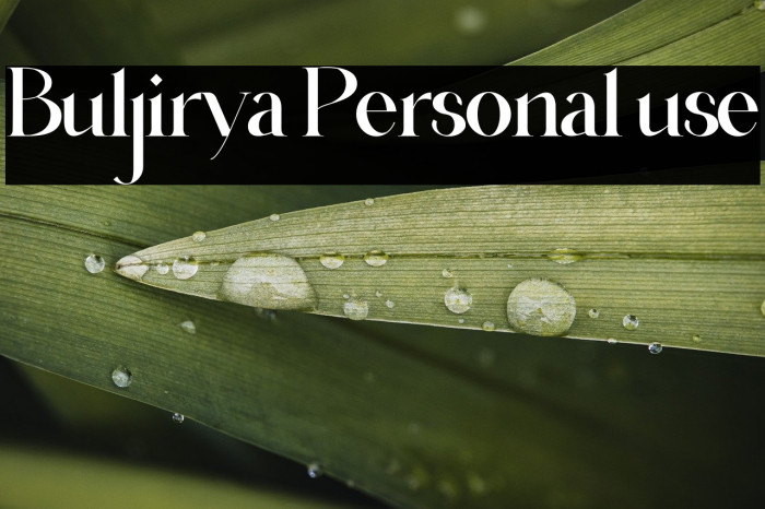 Buljirya Personal use Example 2