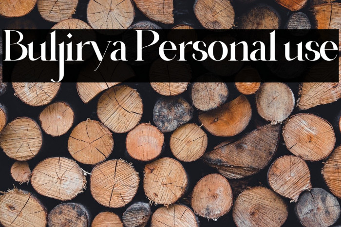 Buljirya Personal use Example 3