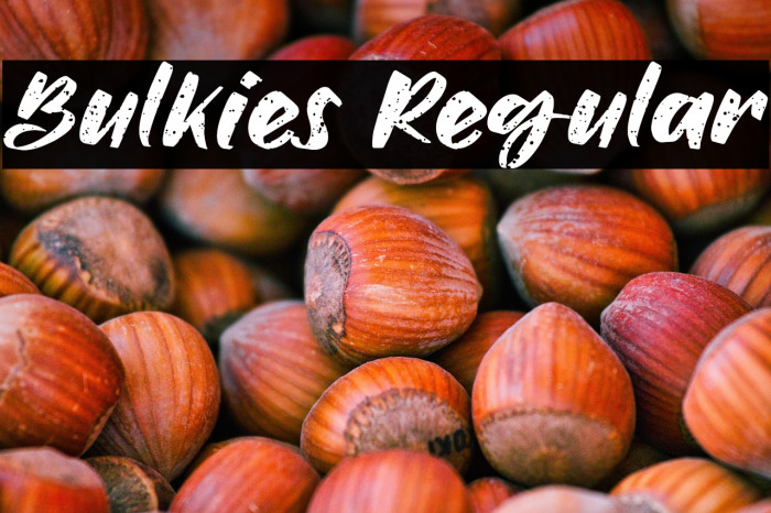 Bulkies Regular Example 1