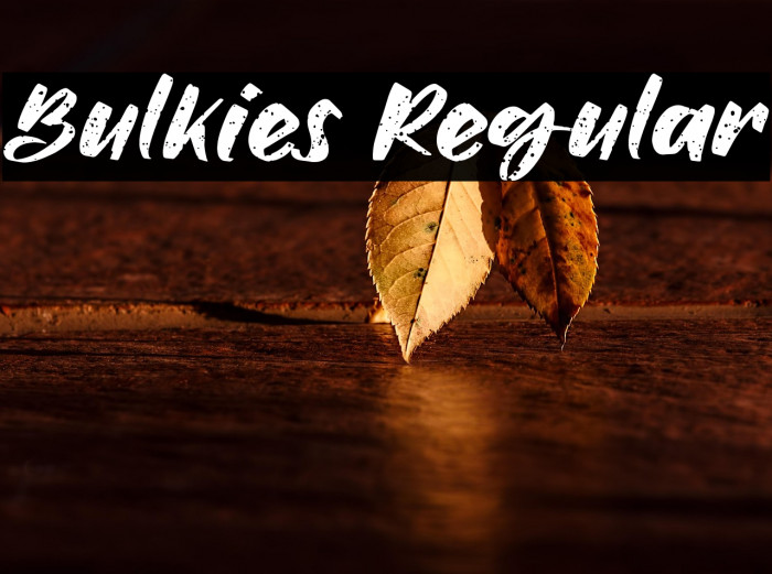 Bulkies Regular Example 2