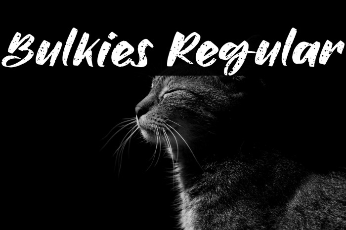 Bulkies Regular Example 3