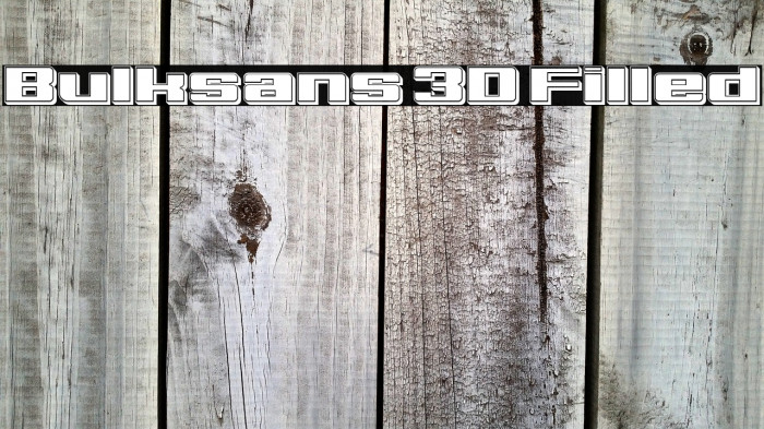 Bulksans 3D Filled Example 2