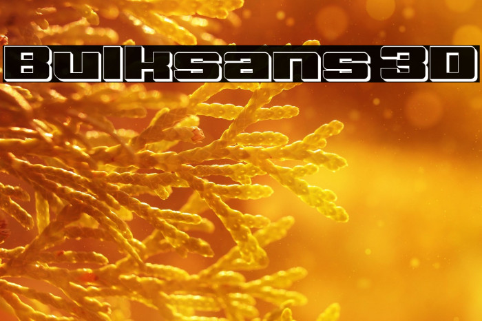 Bulksans 3D Example 3