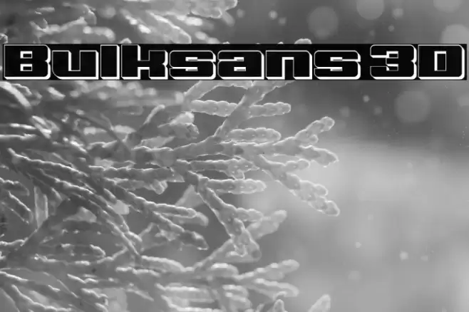 Bulksans 3D Font examples