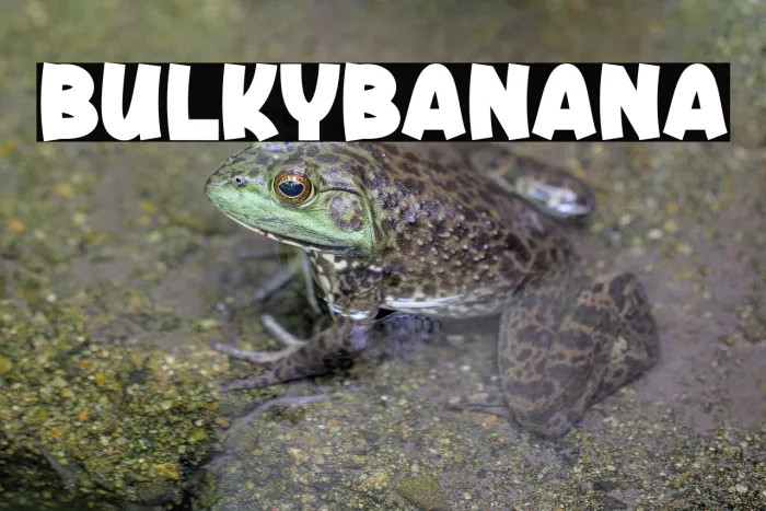 Bulky Banana Example 1