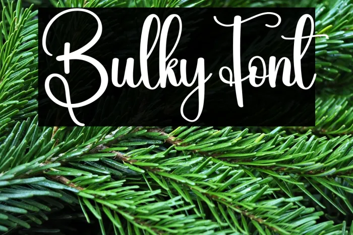 Bulky Example 2