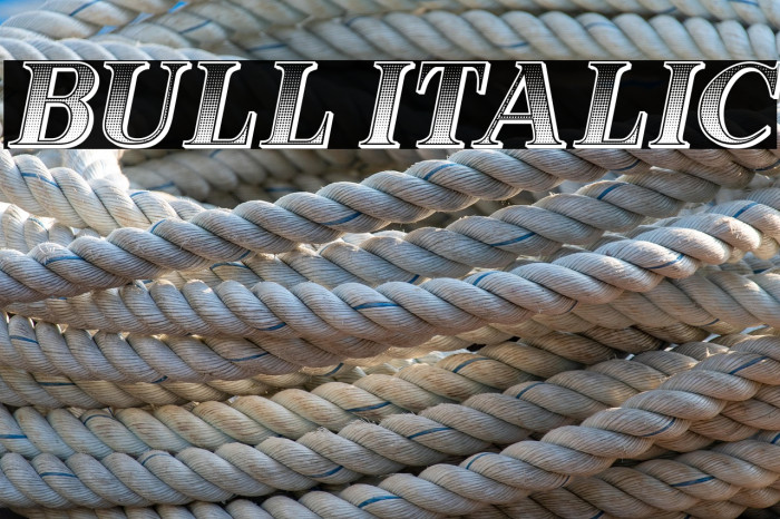 Bull Italic Example 1