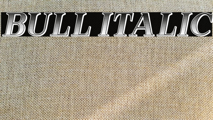 Bull Italic Example 2