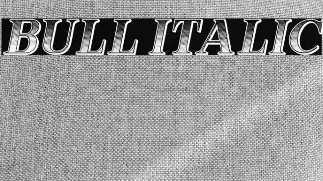 Bull Italic Example 2
