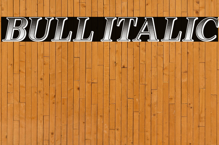 Bull Italic Example 3