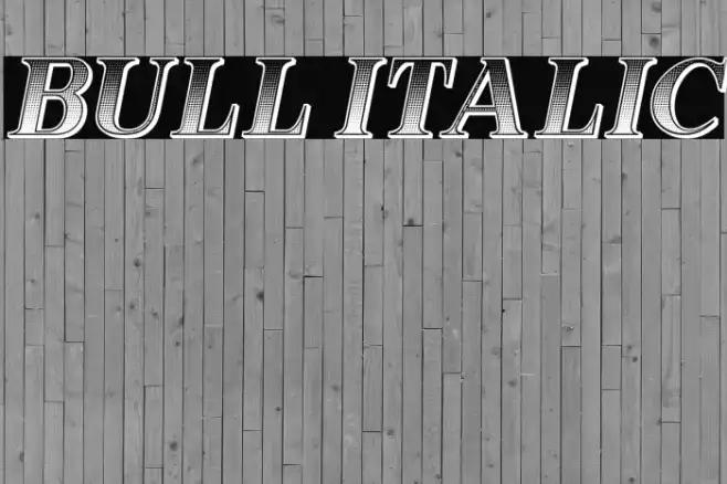 Bull Italic Example 3