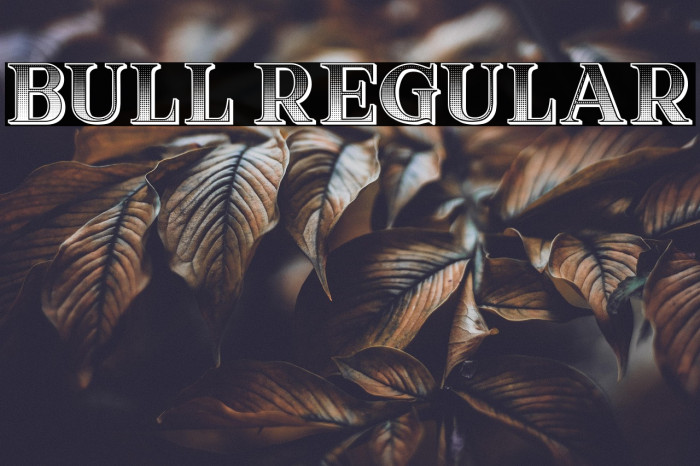 Bull Regular Example 2