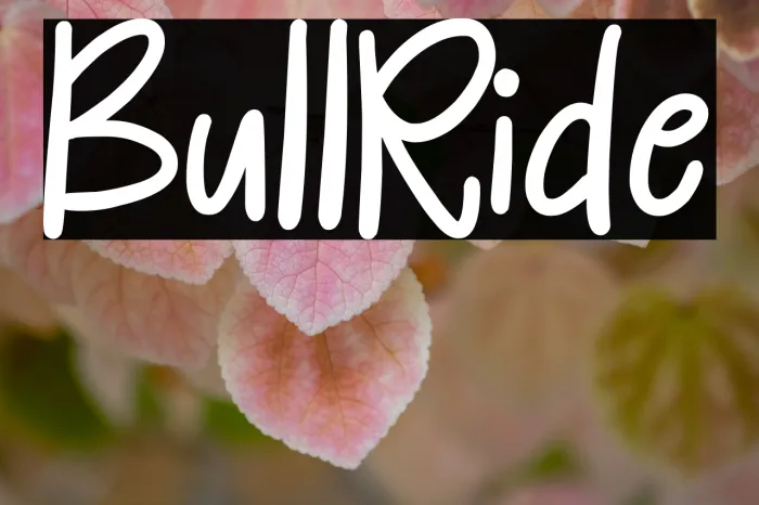 Bull Ride Example 1