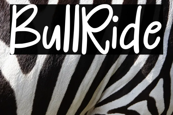 Bull Ride Example 2
