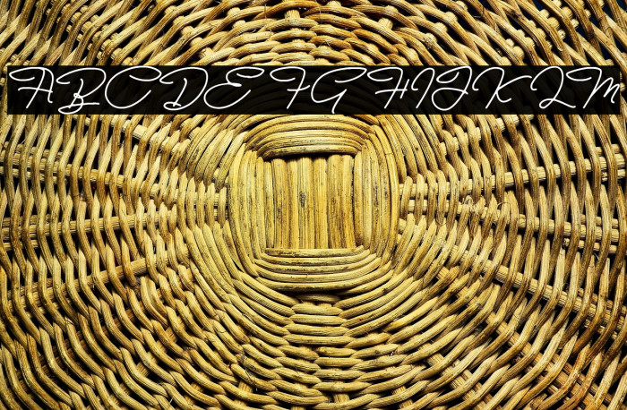 Bull Stander Free Demo Example 2