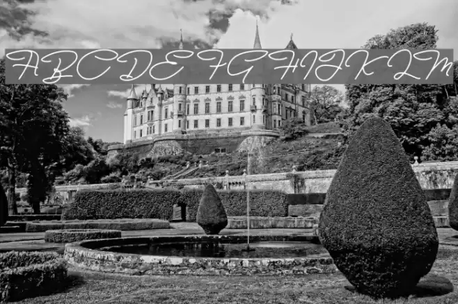 Bull Stander Free Demo Font examples