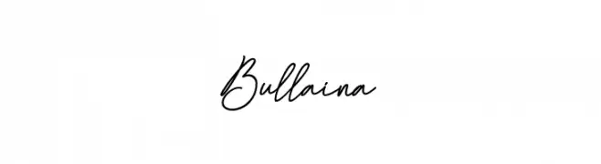 Bullaina  Free Fonts Download