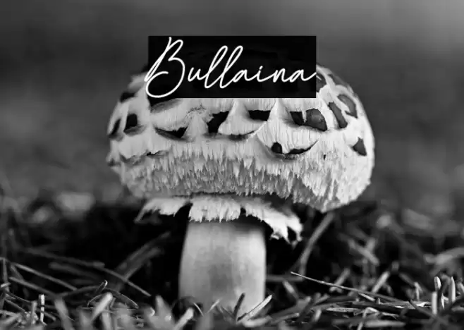 Bullaina Font examples