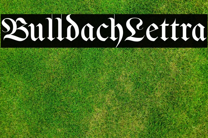 BulldachLettra Example 2