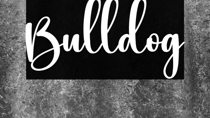 Bulldog Example 1