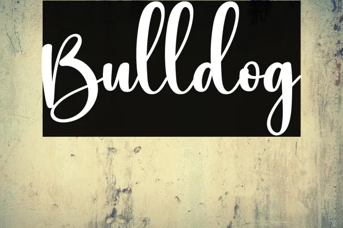 Bulldog Example 2