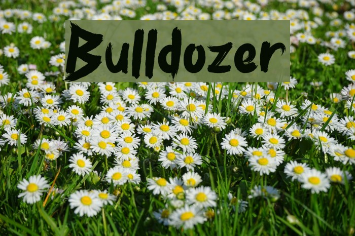 Bulldozer Font examples