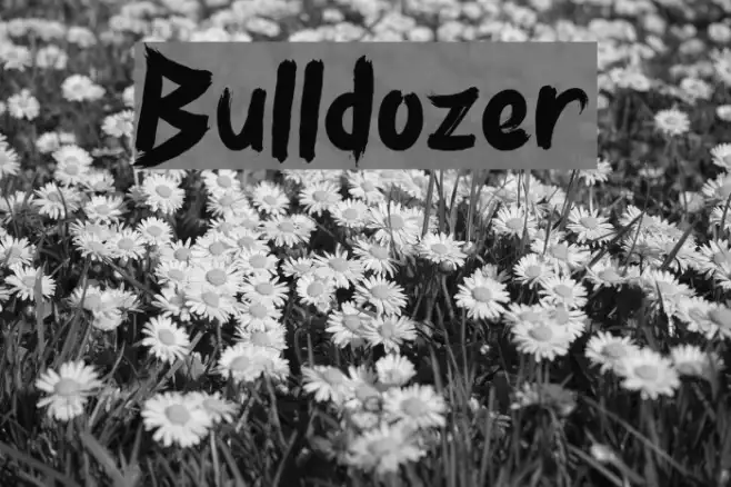 Bulldozer Example 3