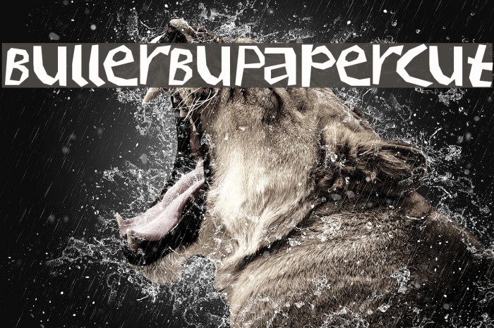 BullerBuPapercut Example 1