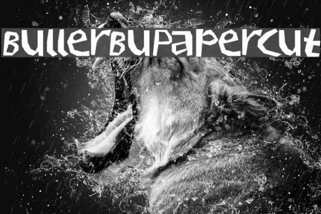 BullerBuPapercut Font examples